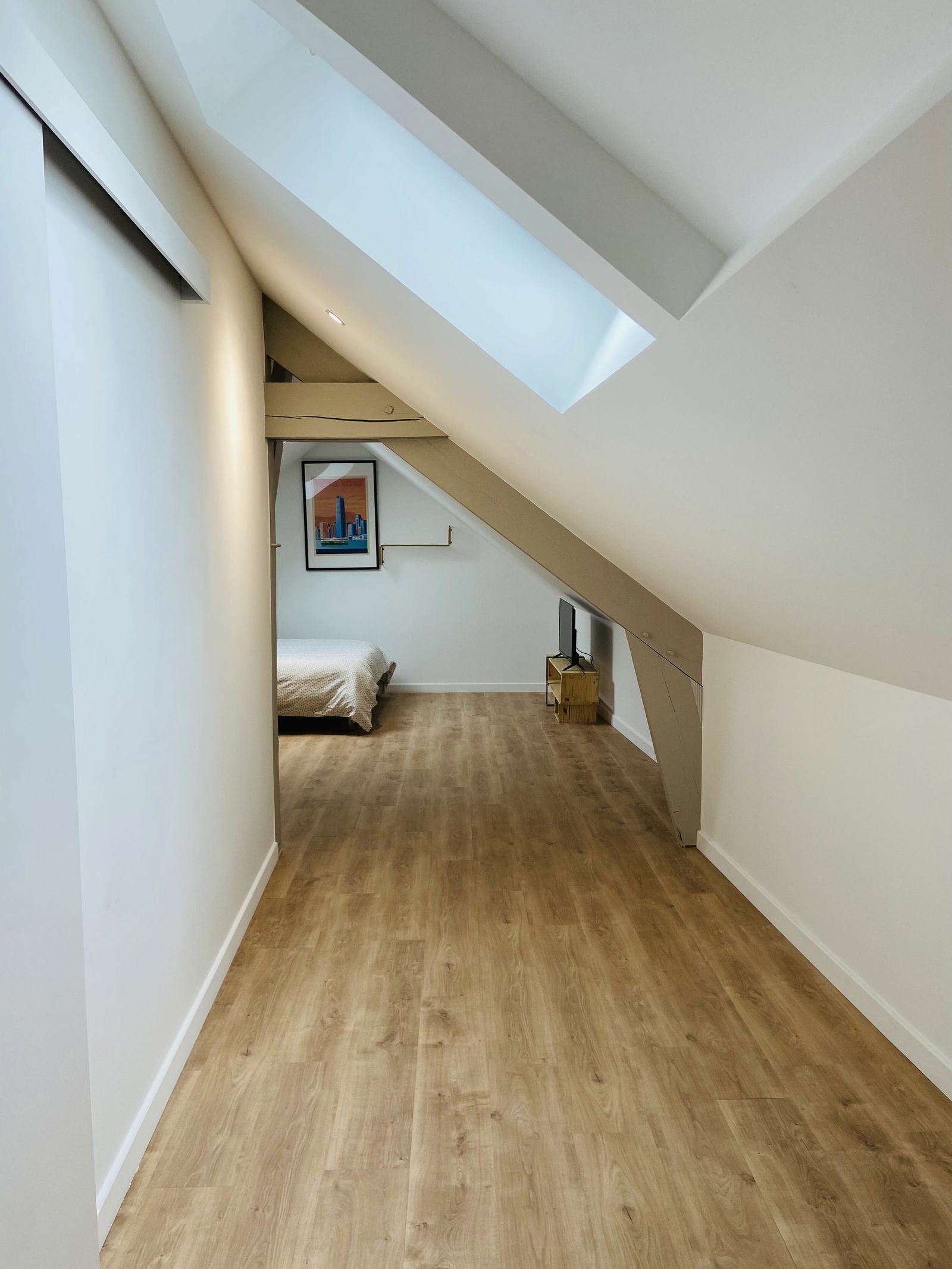 Colocation Orléans 250801