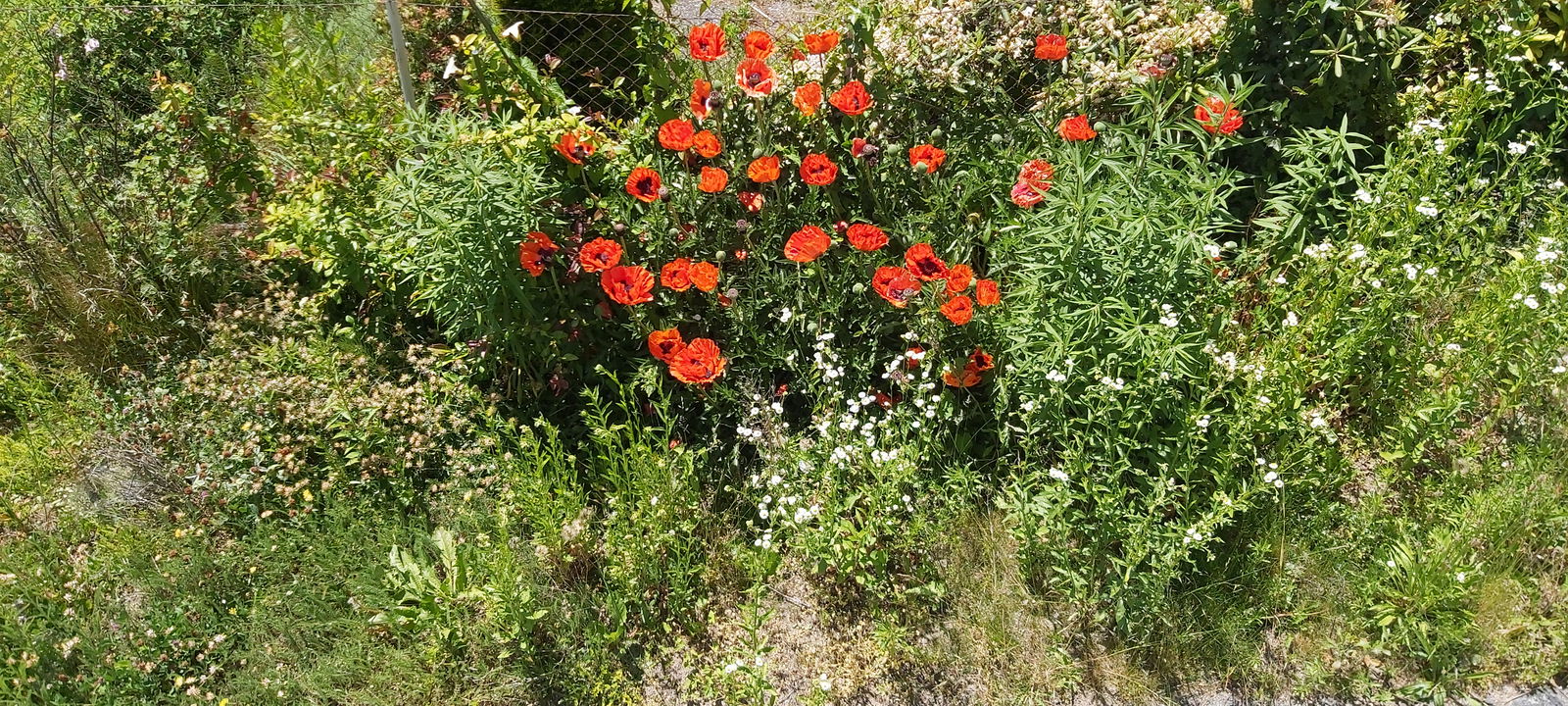 Chambres D'hôtes Lausanne 264306