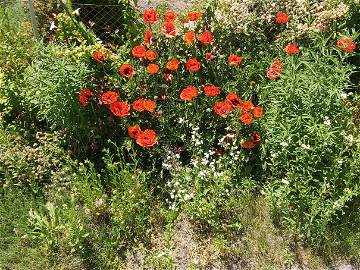 Chambre D'hôte Lausanne 264306-8