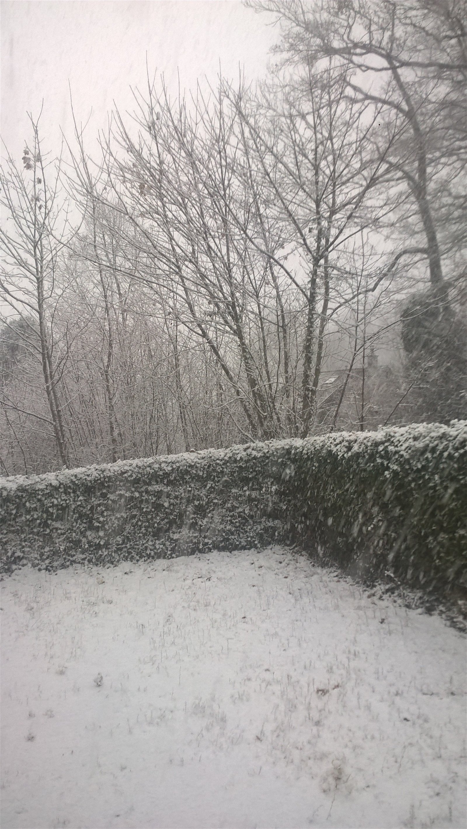 Gästrum Lausanne 261307