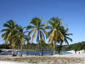 23 M2 Suite Zu Vermieten 200 M Vom Strand Entfernt