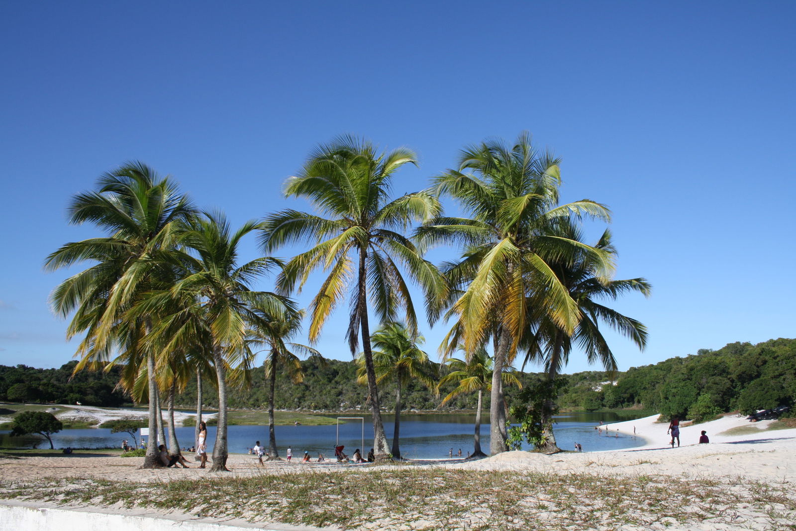 Gastfamilie Salvador 72087