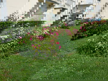 Logement Entier Crépy-En-Valois 268534-13