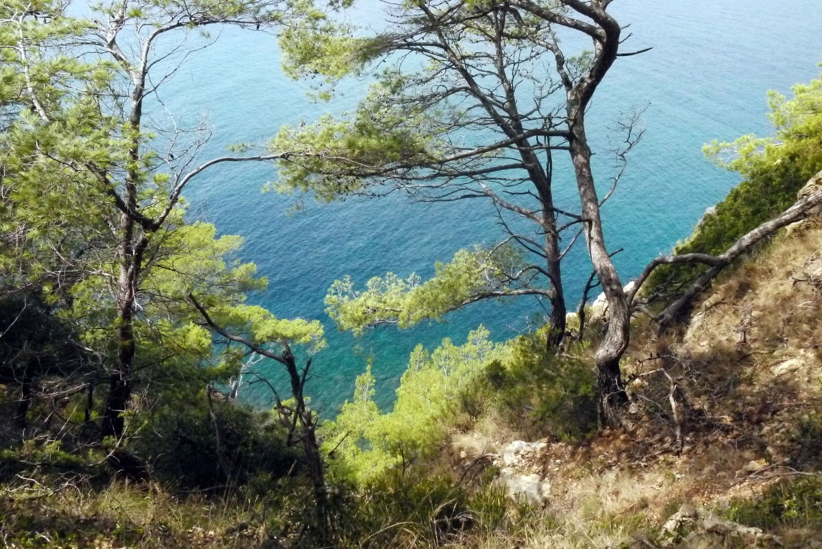 Onafhankelijke Studio Le Castellet 82397