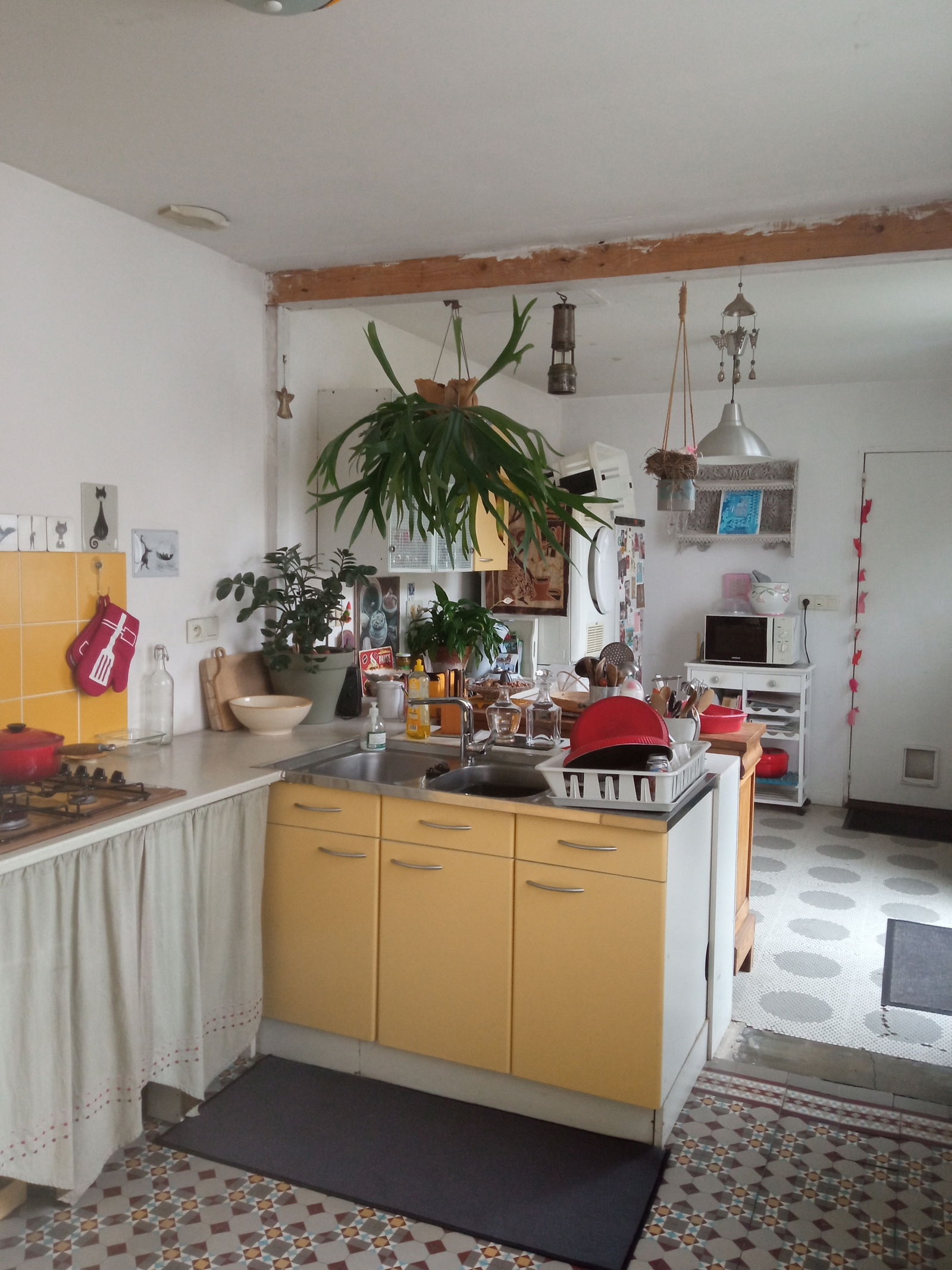 Gastfamilie Carvin 428631