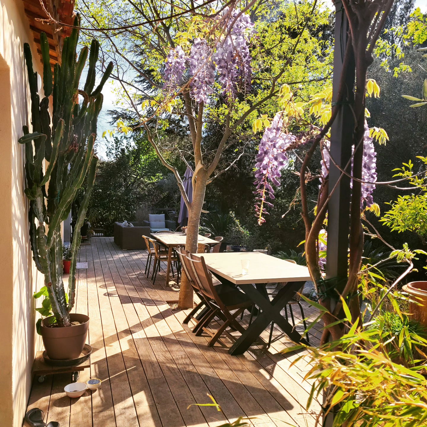 Colocatie Nîmes 624424