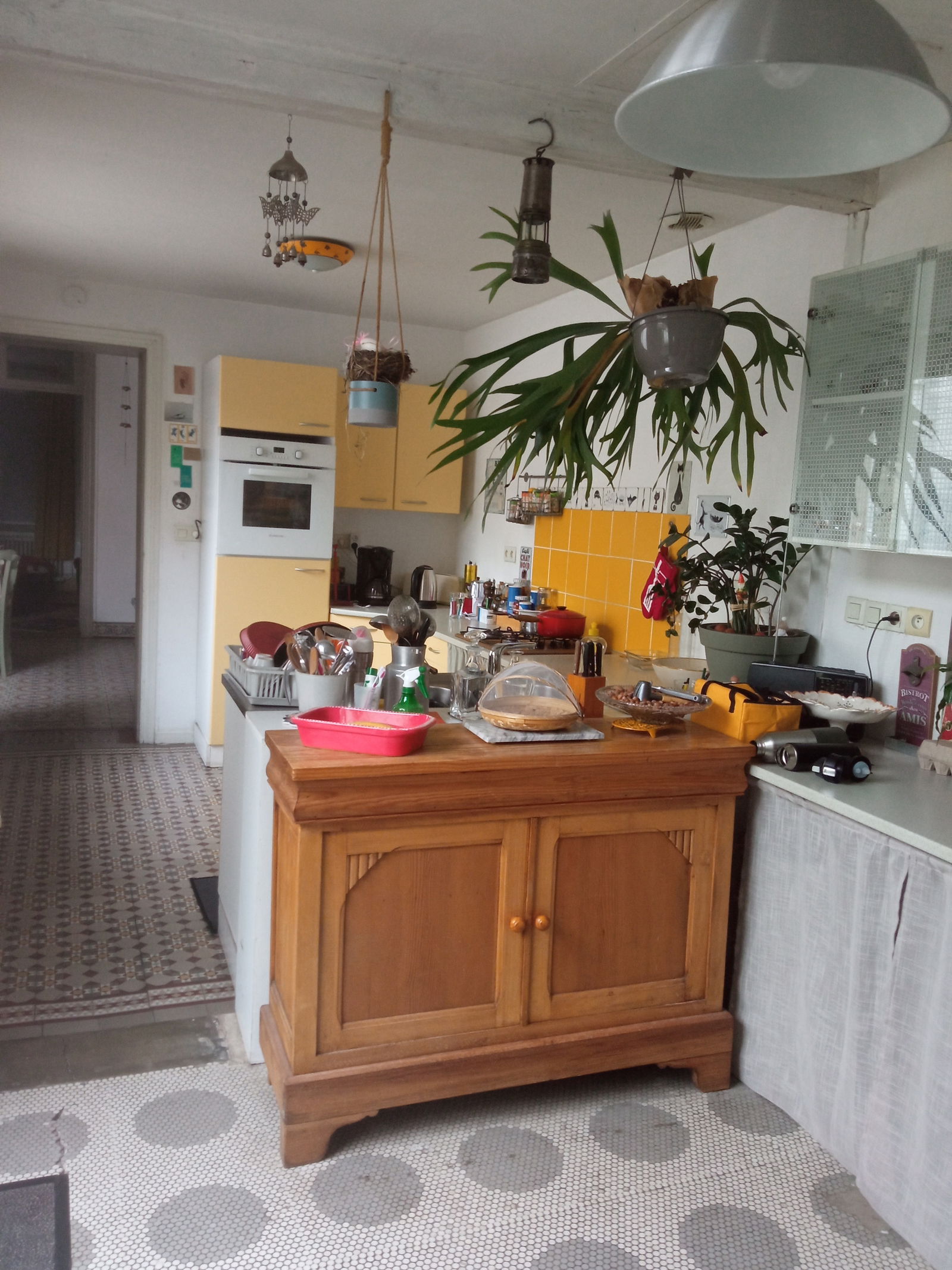 Homestay Carvin 428631