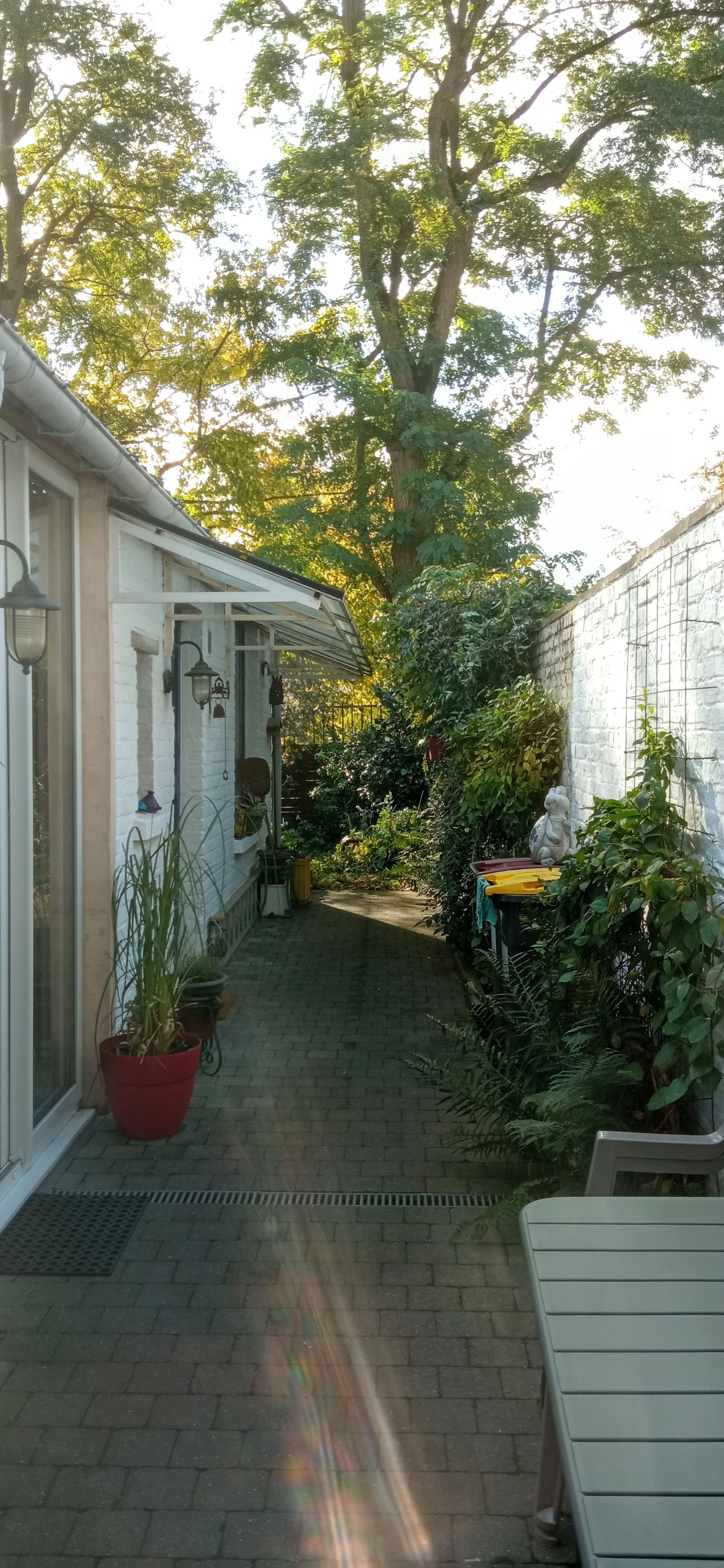 Homestay Carvin 428631