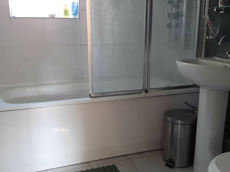 Gastfamilie Reading 230265-3