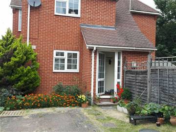 Gastfamilie Reading 230265-6