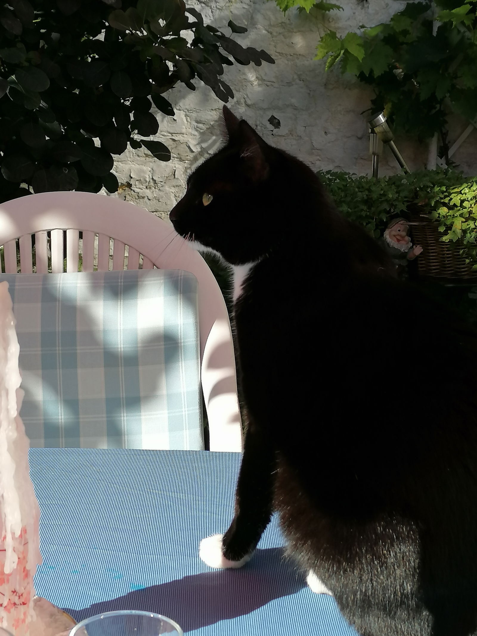 Homestay Watermael-Boitsfort 248923