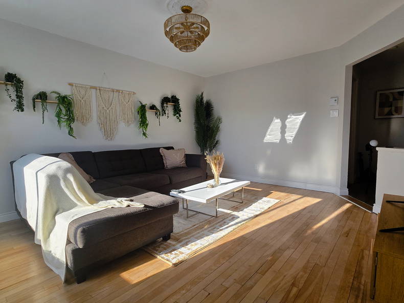 Colocation Montréal 654279-3