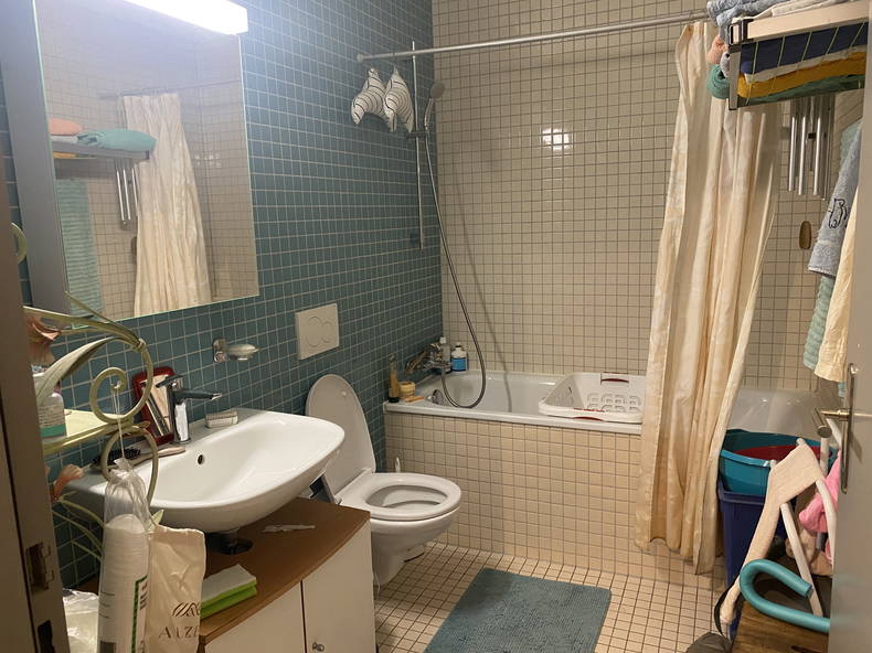 Gehele Woning Genève 258414-3