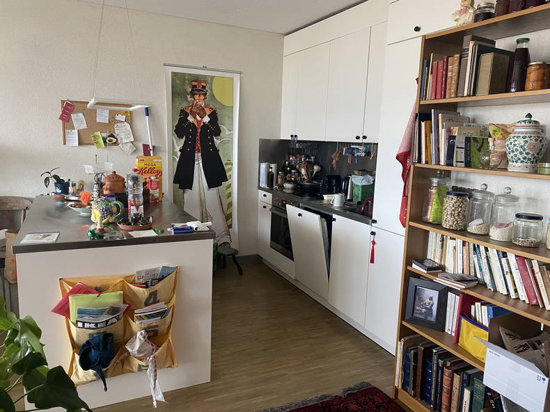 Gehele Woning Genève 258414-4