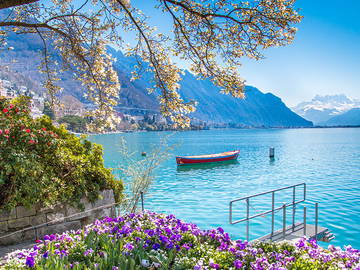 Chambre À Louer Montreux 267486