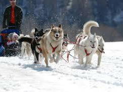 Logement Entier Saint-Gervais-Les-Bains 125512-11