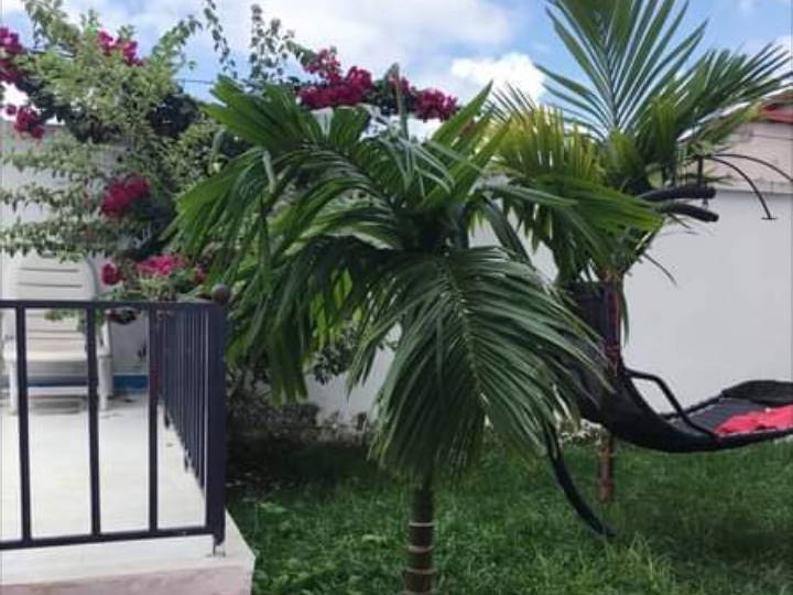 Cały Dom Yaoundé 234437-2