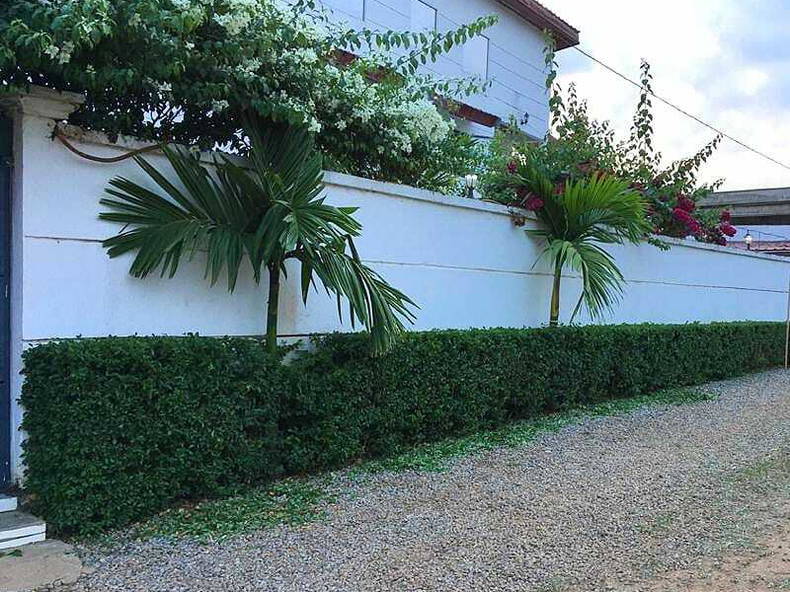 Cały Dom Yaoundé 234437-5