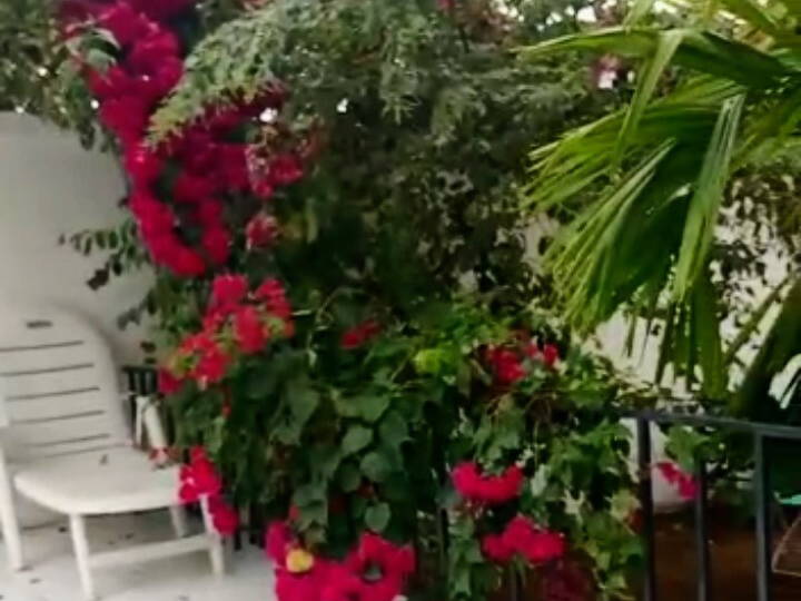 Entire Home Yaoundé 234445-3