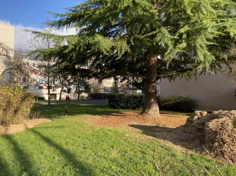 Ganzes Haus Jouy-en-Josas 244975-1