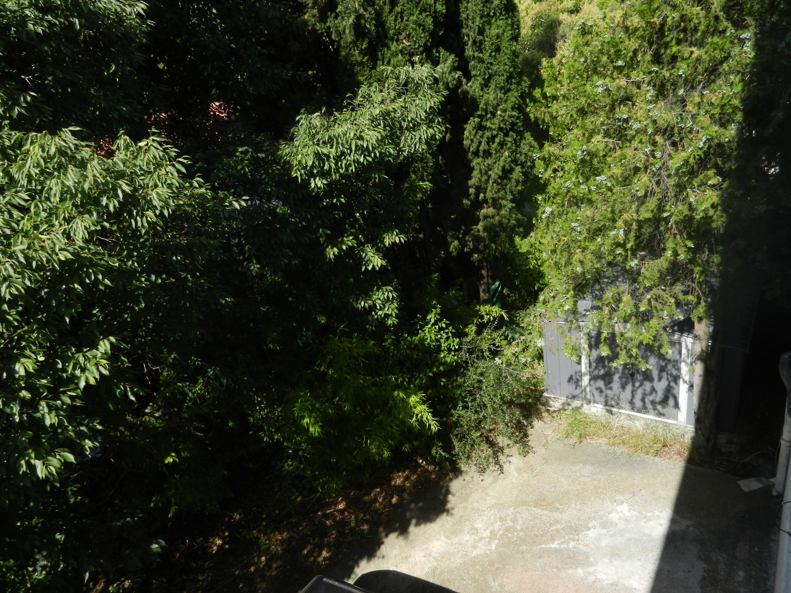 Colocation Montpellier 263067