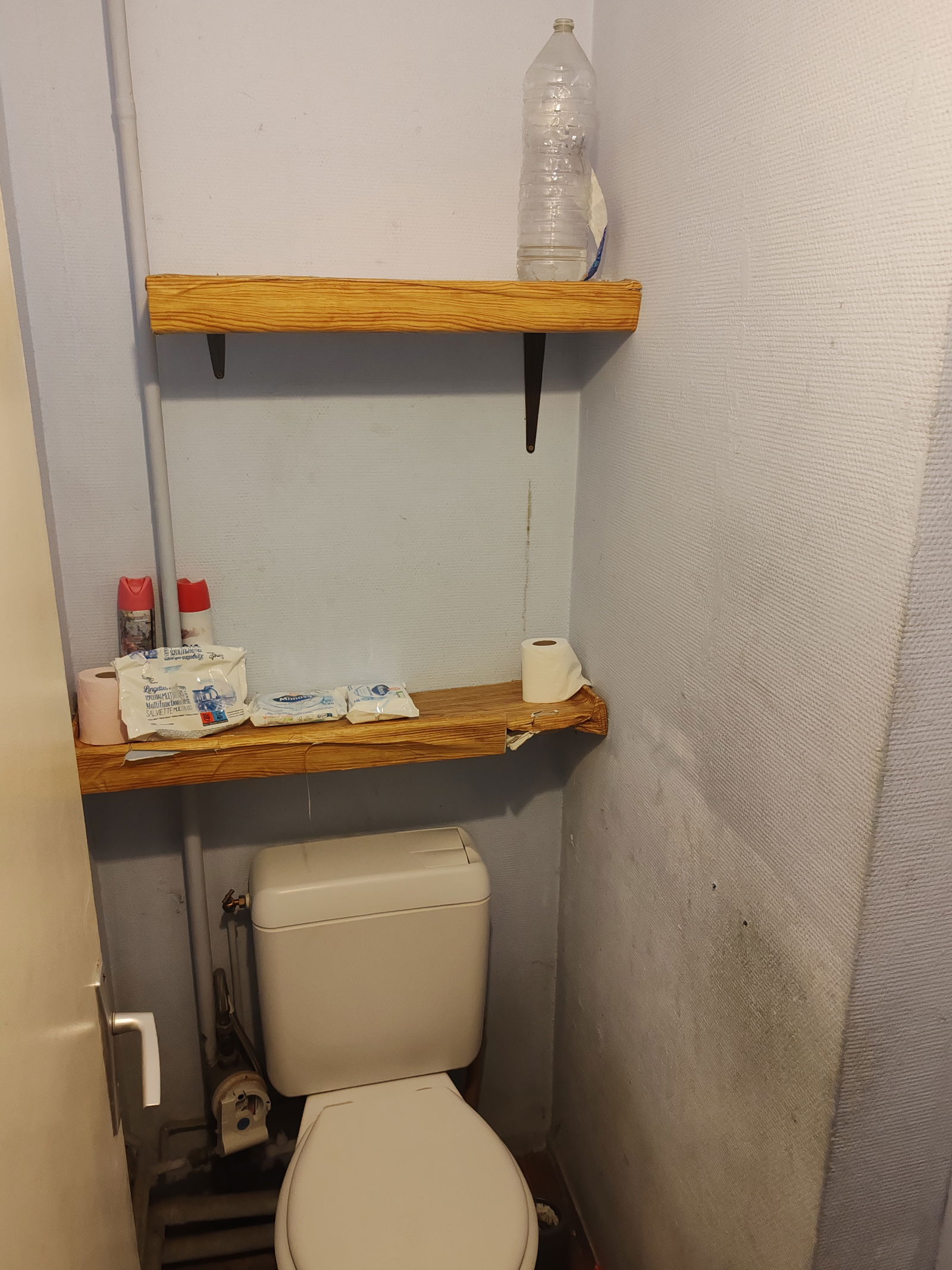 Colocation Nantes 494030