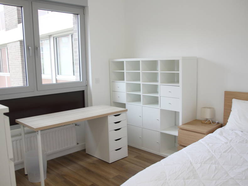 Kolokation Lille 631721-4