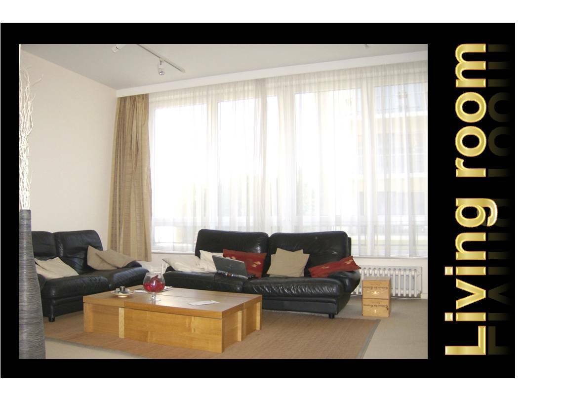 Colocation Schaerbeek 133607