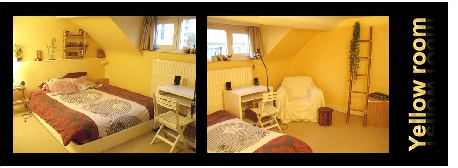 Colocation Schaerbeek 133607