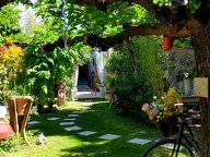 Chambre d'hôte à louer à Monteux - jardin-13