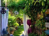 Chambre d'hôte à louer à Monteux - jardin-15