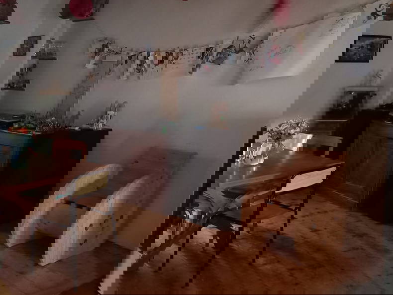 Kolokasie Le Noyer 642032-2