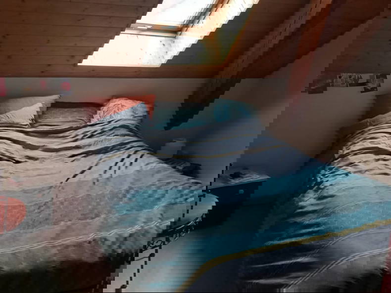 Kolokasie Le Noyer 642032-3