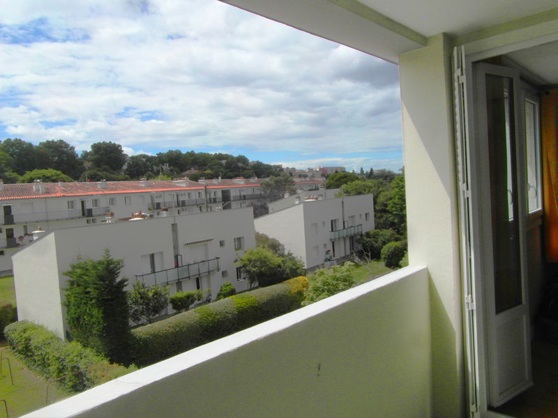 Colocation Toulouse 251655