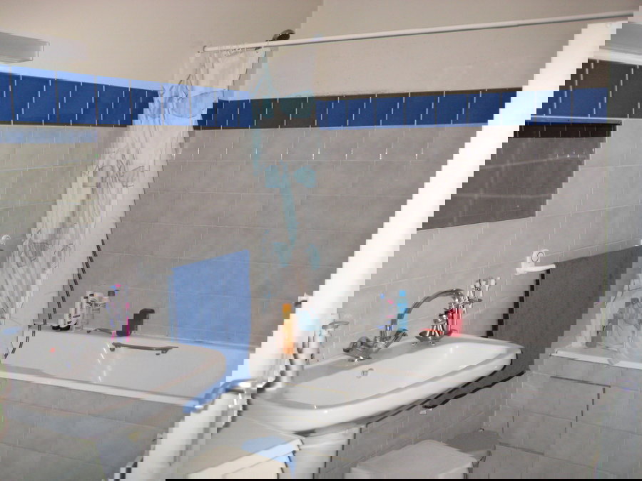 Kolokasie Angers 457427