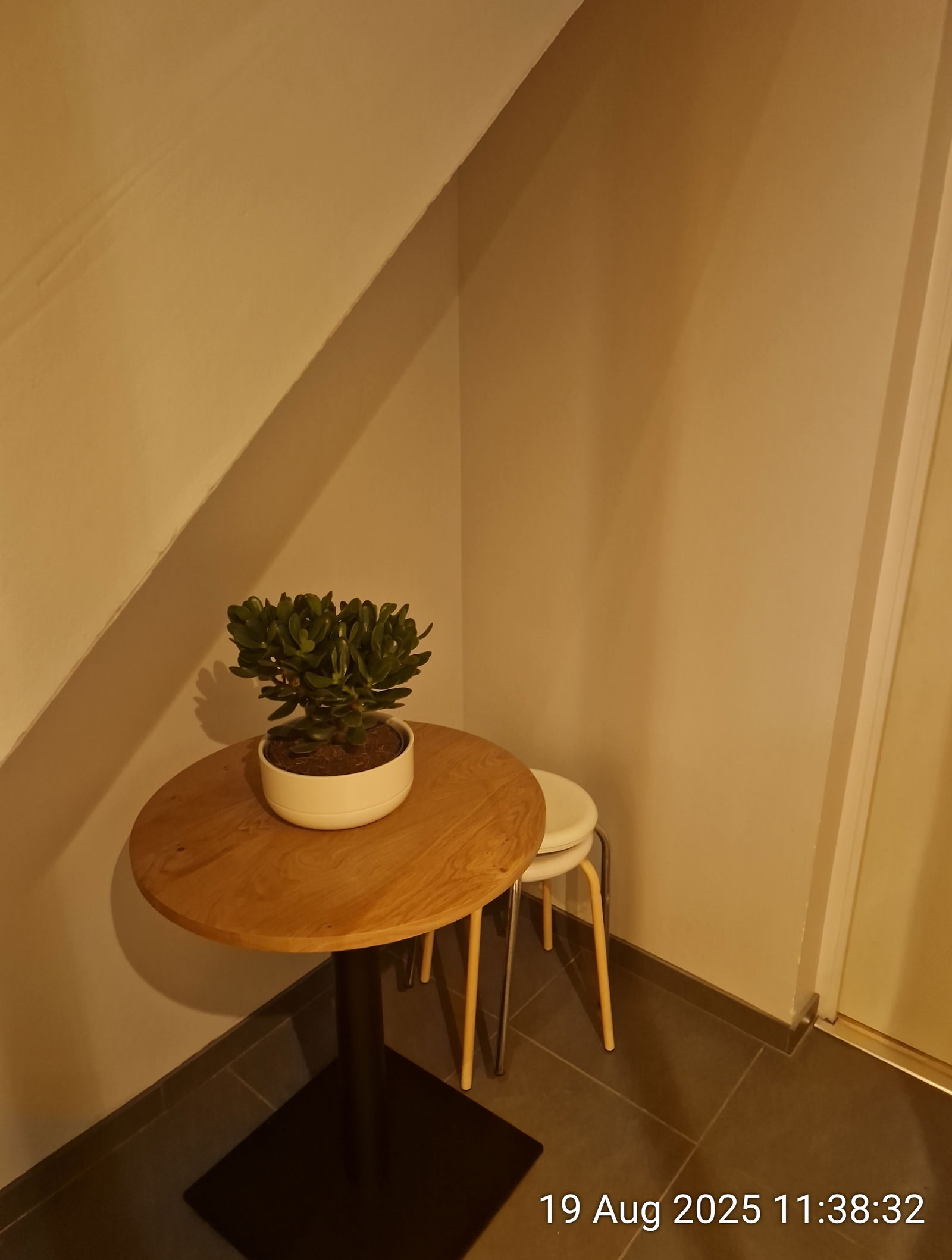 Tuisverblyf Plaisir 430207