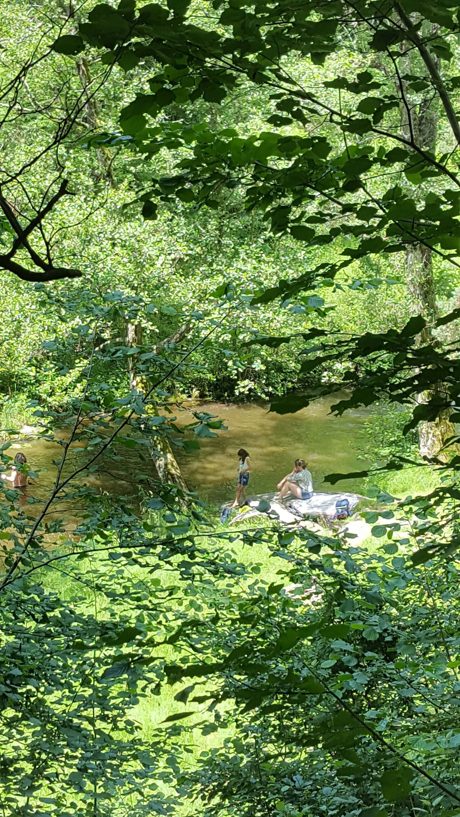 Cały Dom Saint-André-de-Chalencon 206532