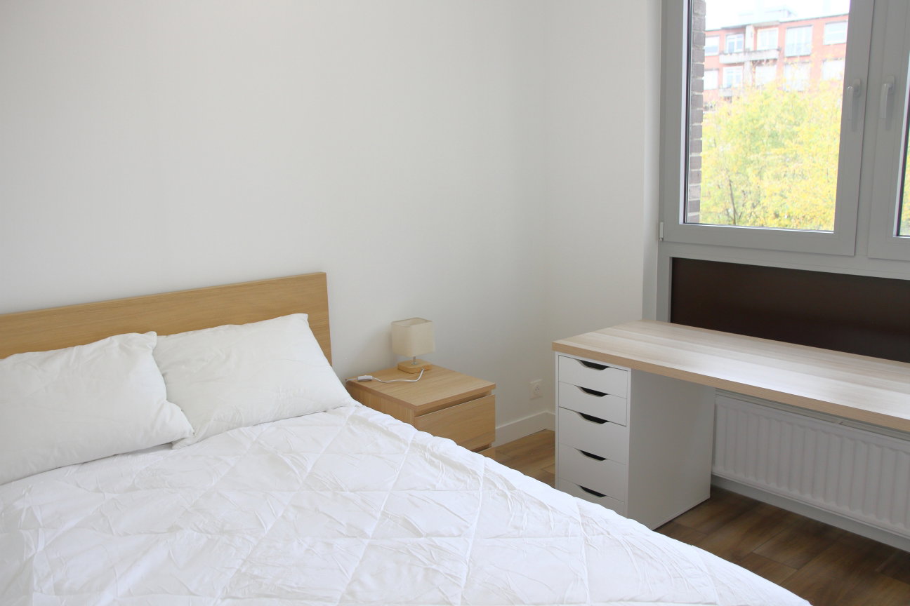 Kolokasie Lille 631721