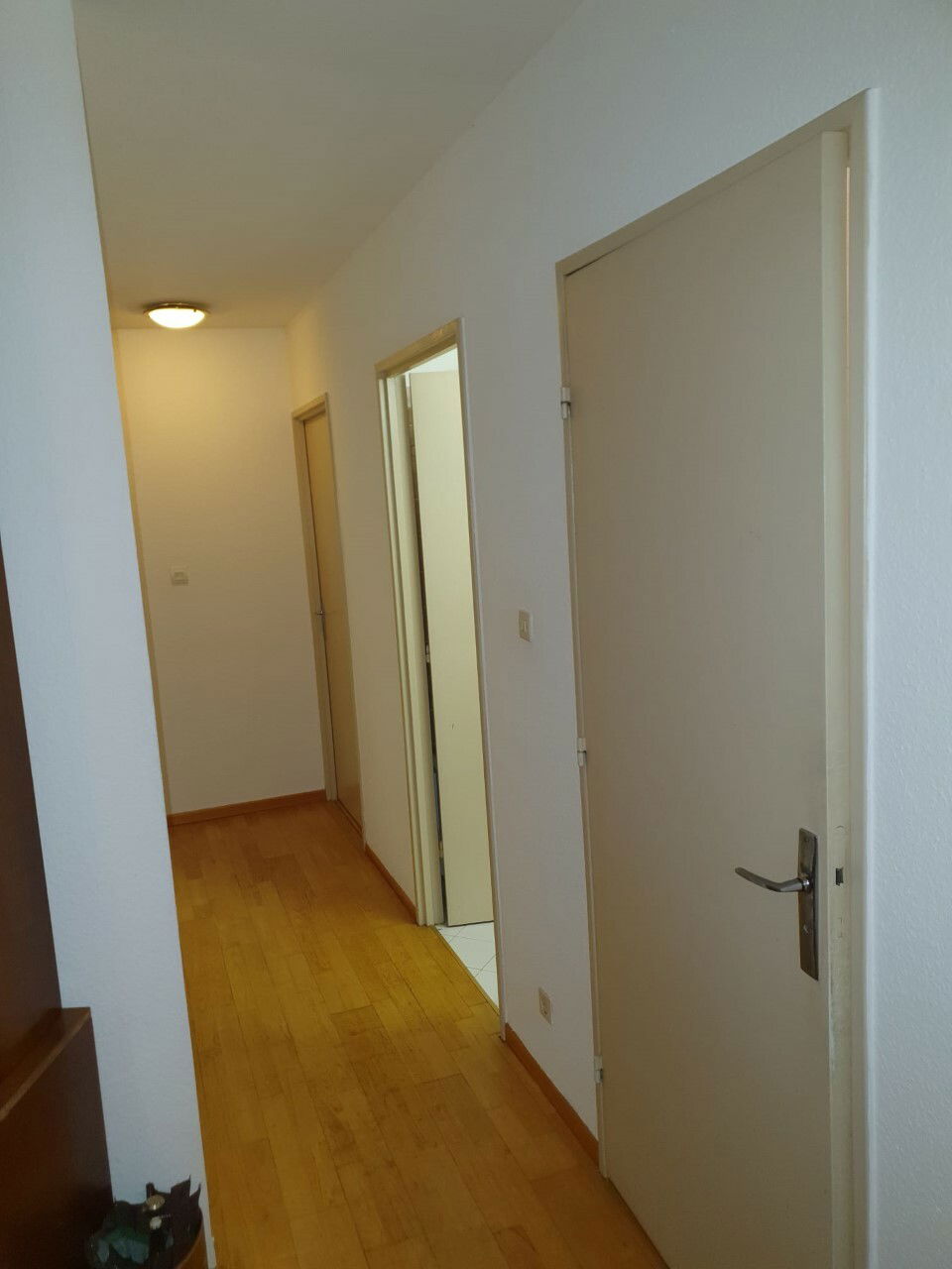 Colocatie Strasbourg 256799