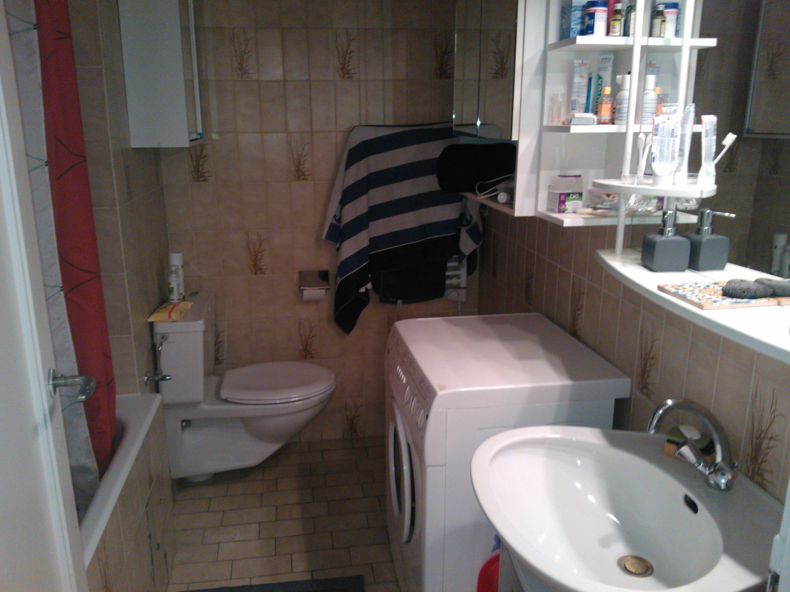 Homestay Genève 100320