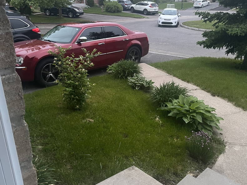 Colocatie Québec 260707-1