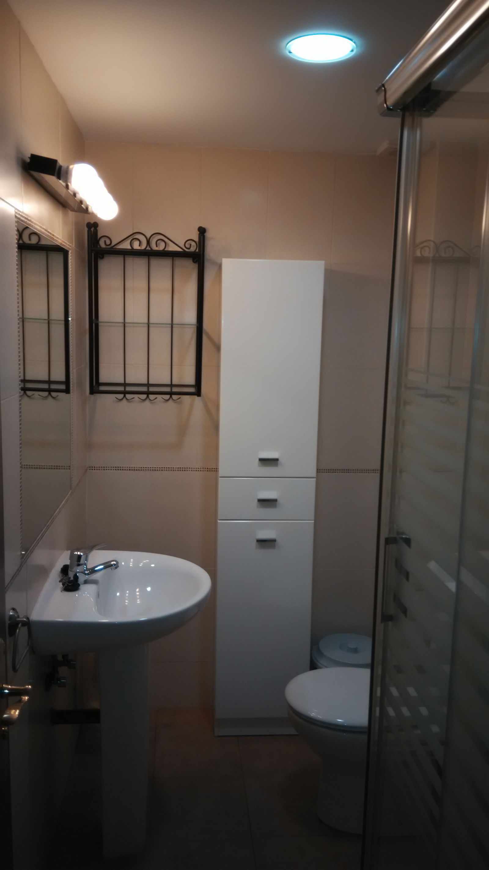 Kolokasie Córdoba 172025