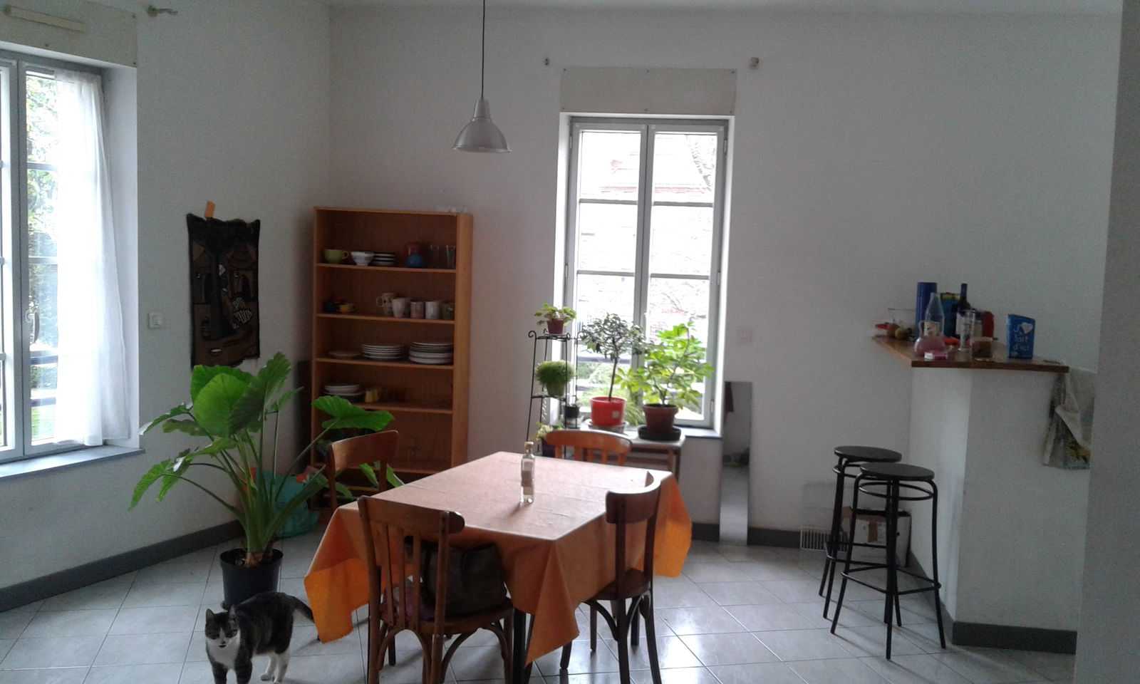 Colocation Toulouse 130478