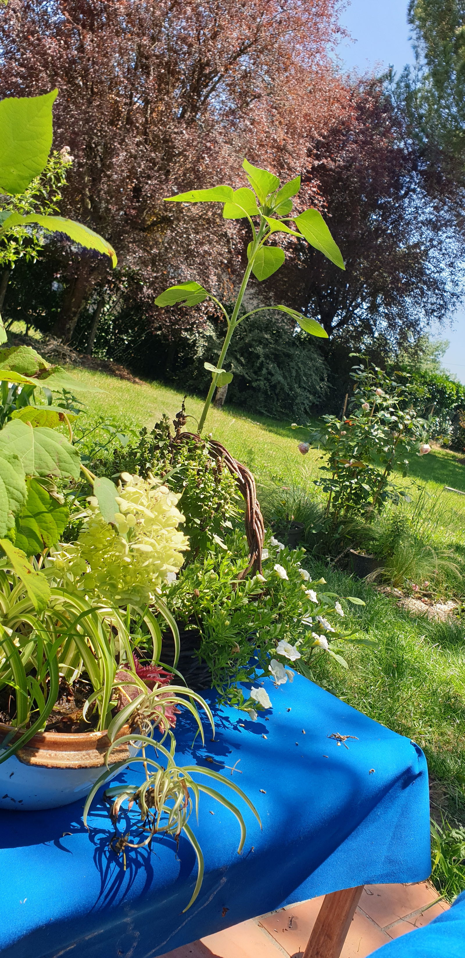 Homestay Porchères 258211