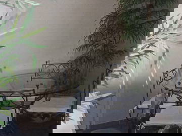 Colocation Nice 664150-8