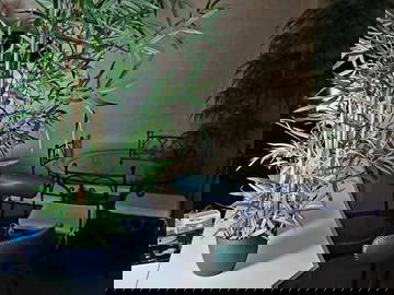 Colocation Nice 664150-10