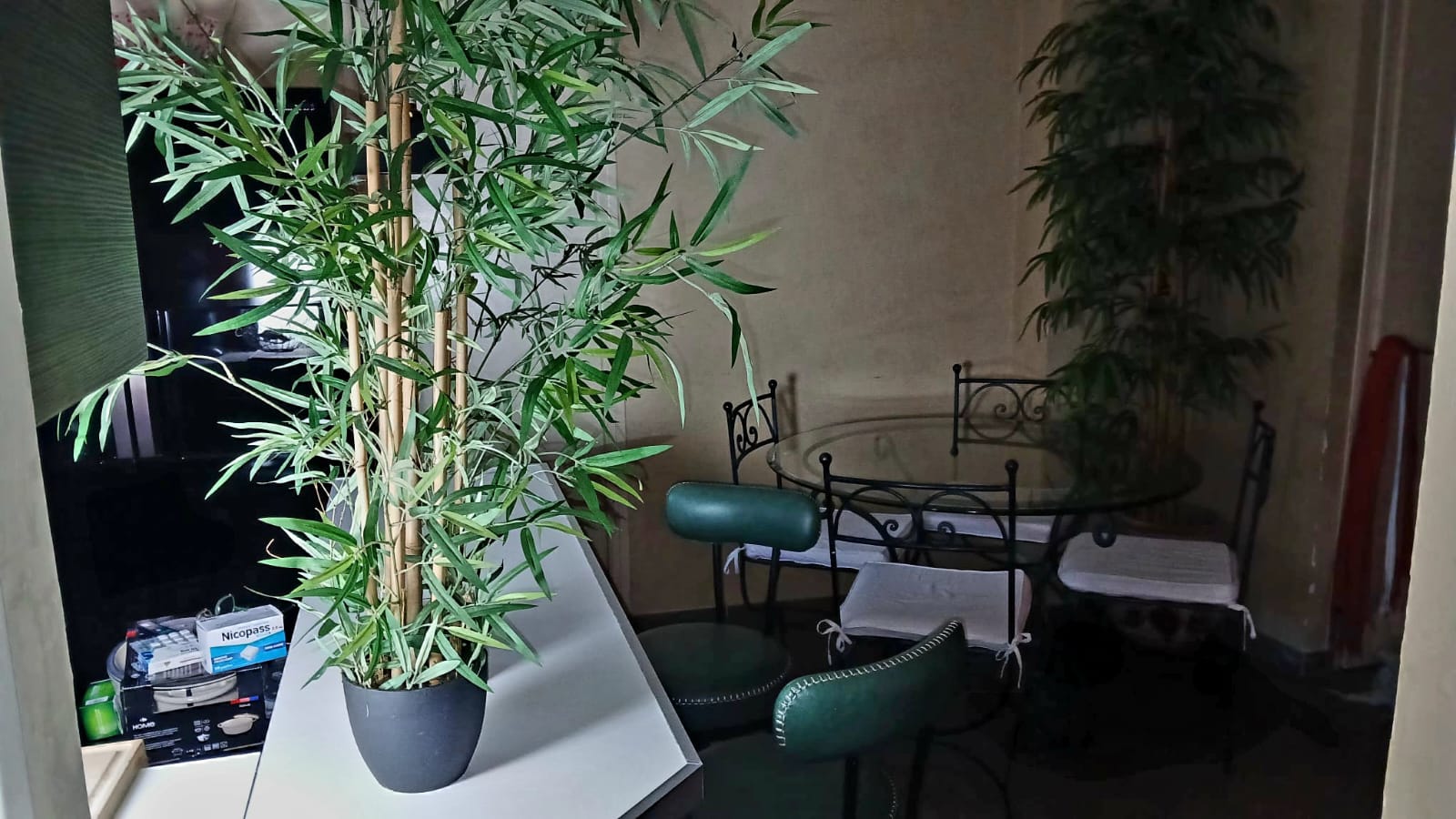 Cały Dom Nice 664150