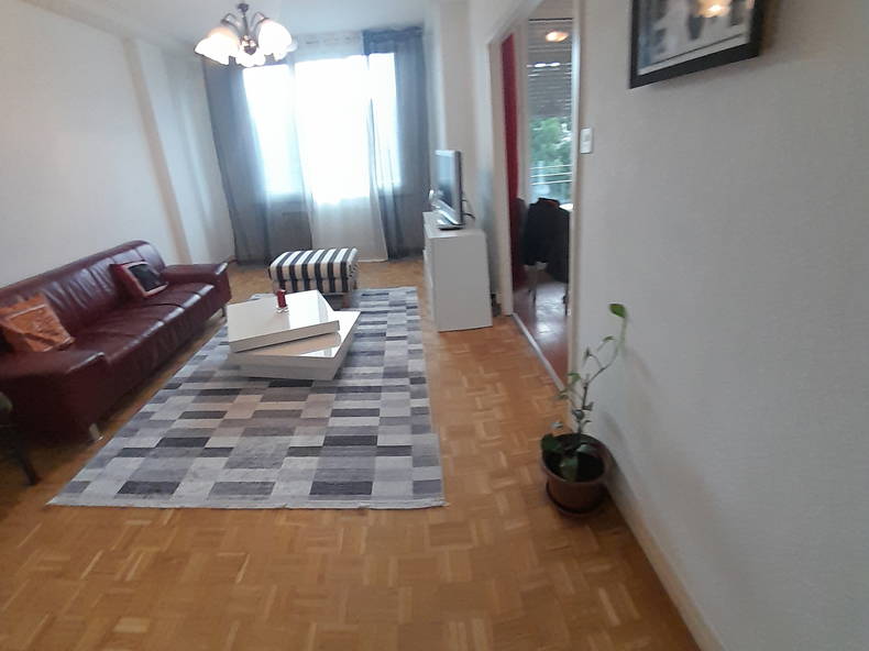 Gehele Woning Genève 260162-4