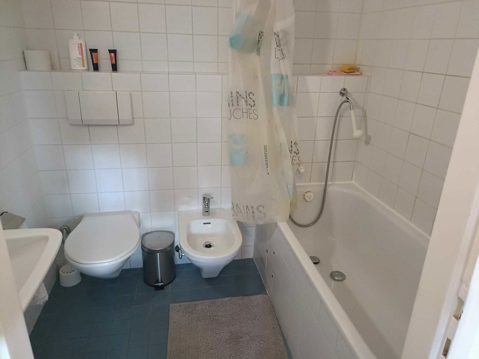 Entire Home Genève 260162