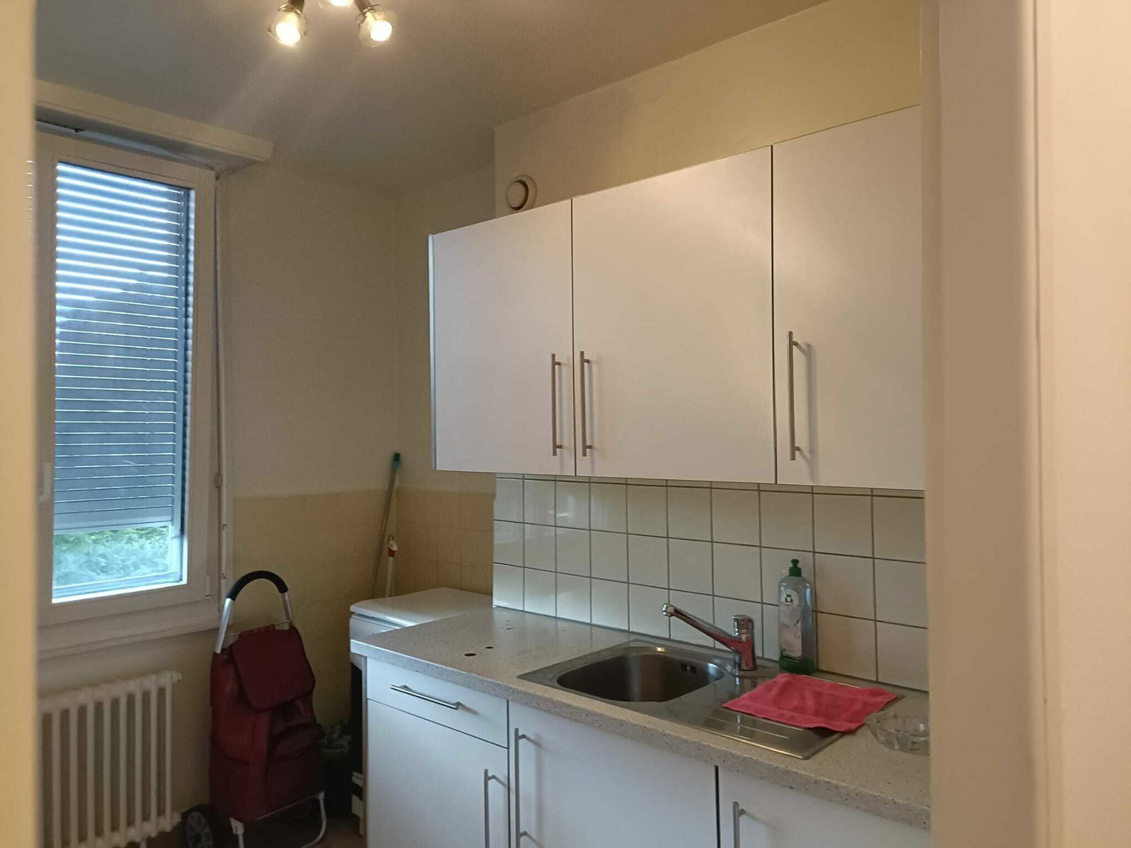 Entire Home Genève 143170